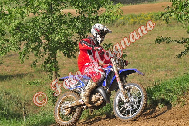 DSC_5041.jpg